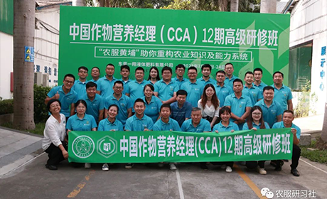 CCA12班